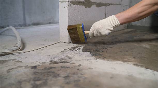 Top rated local Crawl Space Encapsulation specialists in Hamburg, PA